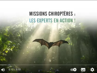 Fonds Rhinos chiroptères cavernicoles prioritaires